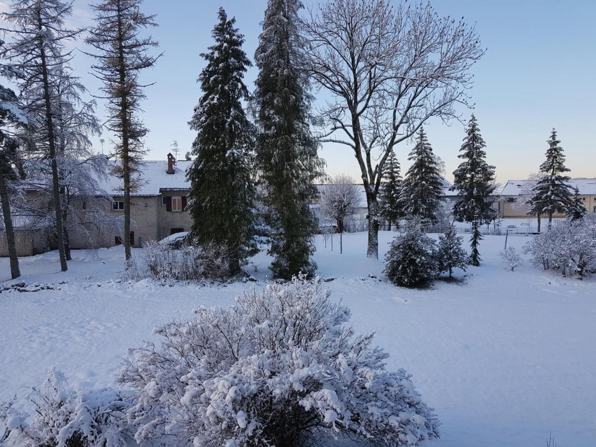Hotel La Pause O Logis Saint-Laurent-du-Jura Exterior foto