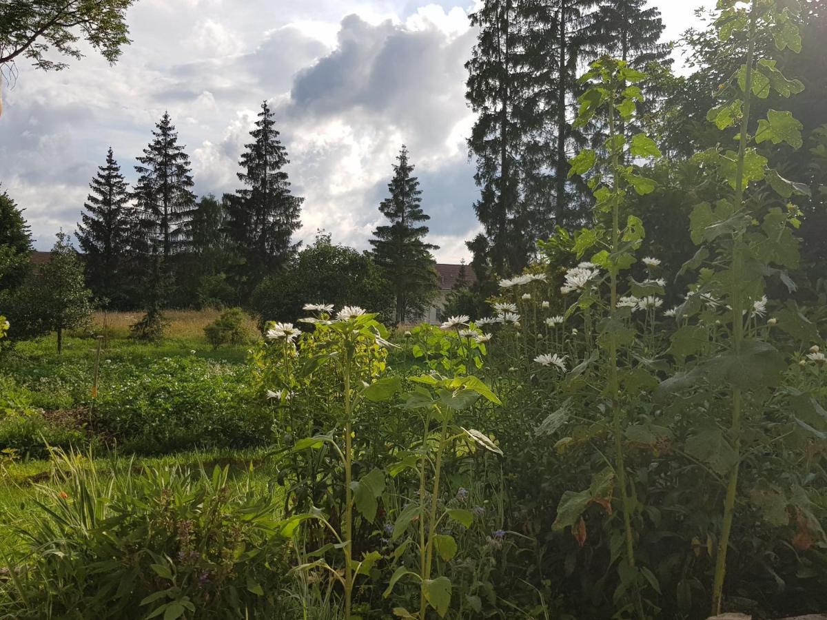 Hotel La Pause O Logis Saint-Laurent-du-Jura Exterior foto